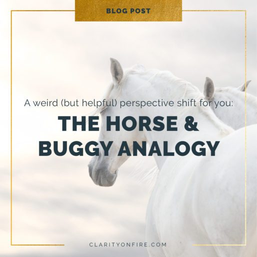 The horse & buggy analogy