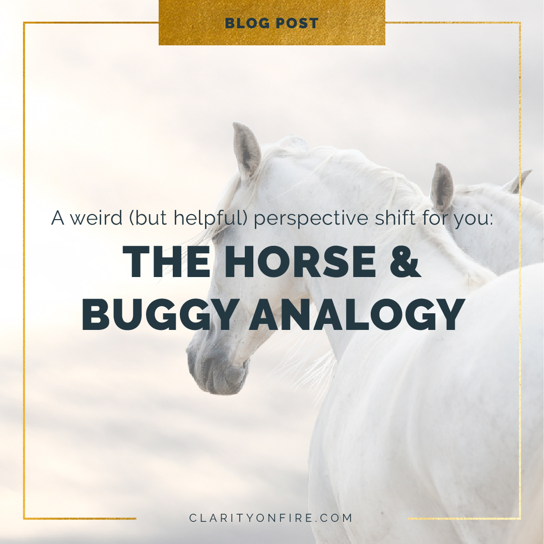 horse & buggy